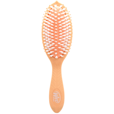 Wetbrush Go Green Treatment and Shine Brush