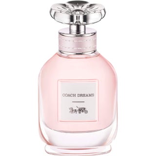 COACH Dreams