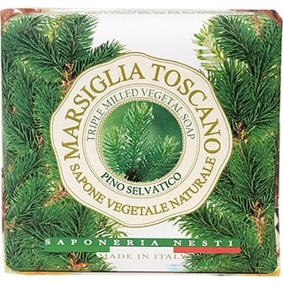 Nesti Dante Marsiglia Toscano Pino Selvatico