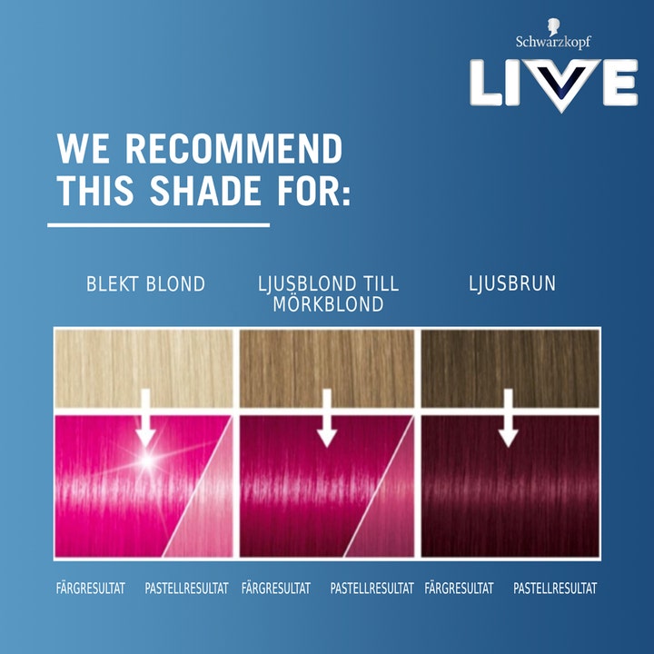Live Color Moment