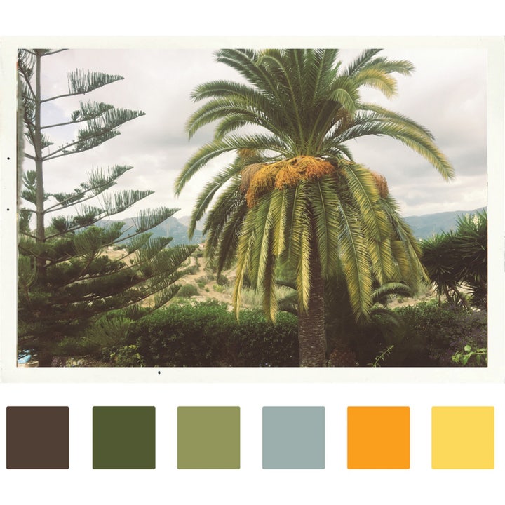 Tropica