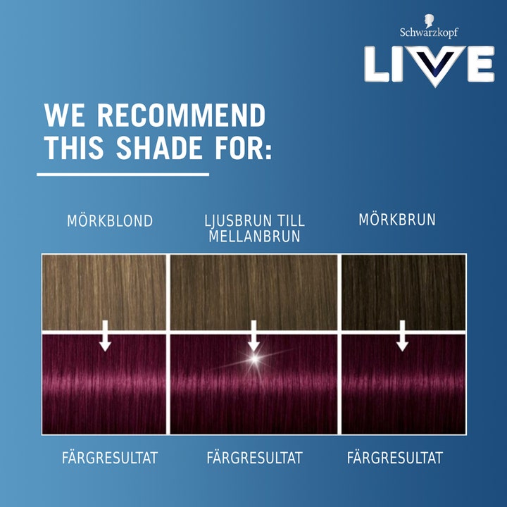 Live Intense Color