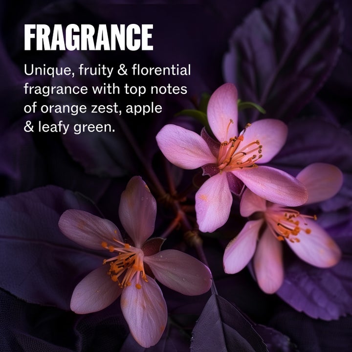 Ultimate Color Shine Spray