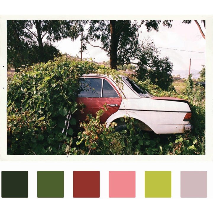 Voyeur Verde