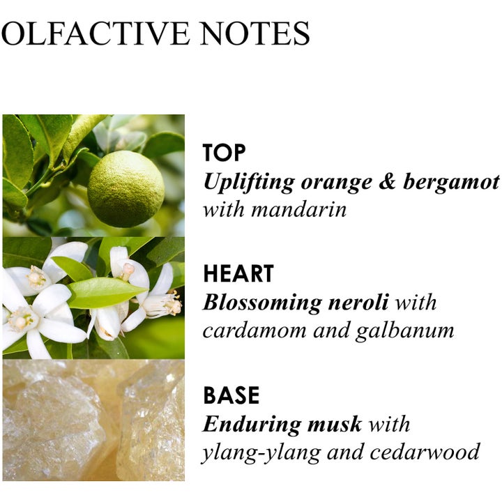 Orange & Bergamot Body Lotion