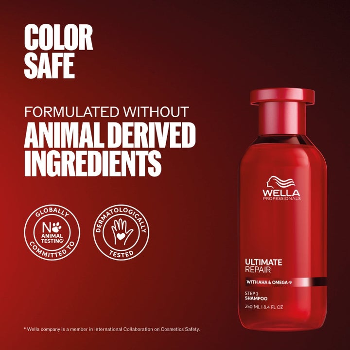 Ultimate Repair Complete Hair Recovery System